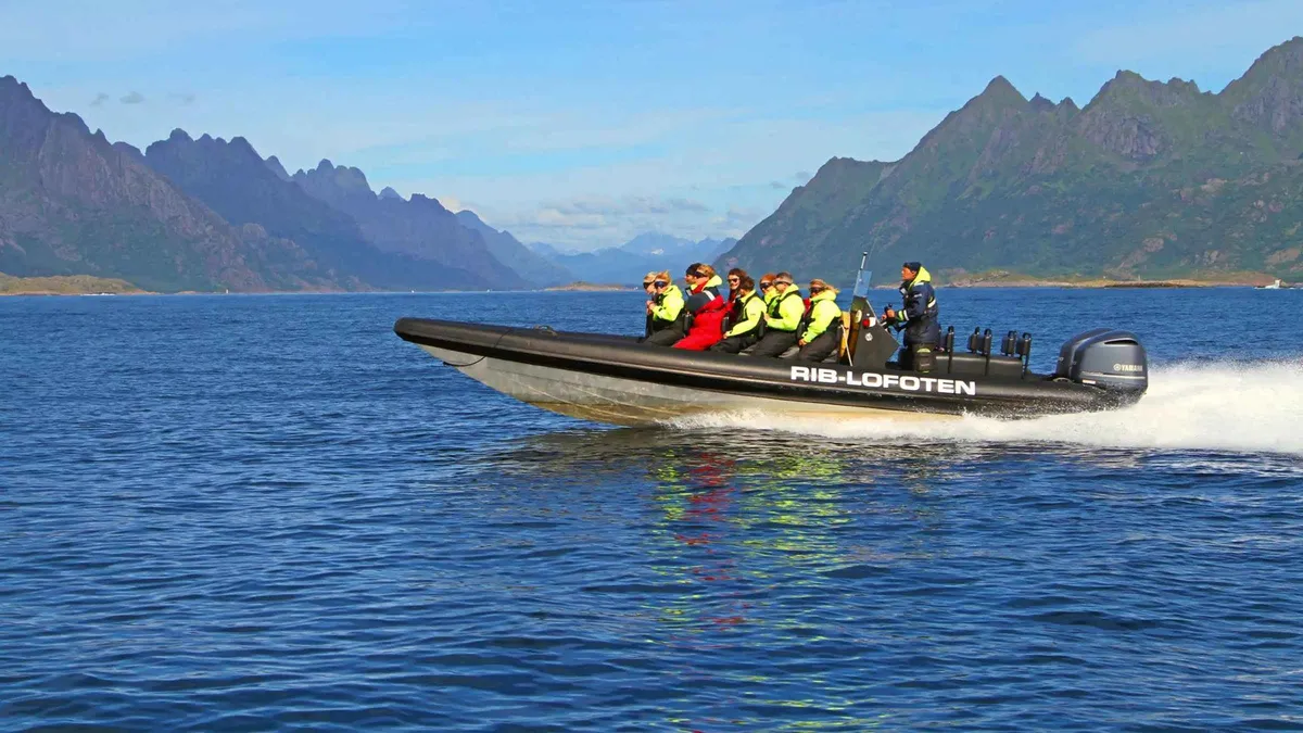 Passengers in flotation suits on a RIB boat watching a white-tailed sea eagle over Raftsundet on a Lofoten Islands sea eagle safari